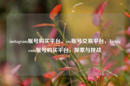 instagram账号购买平台，ins账号交易平台，Instagram账号购买平台，探索与挑战