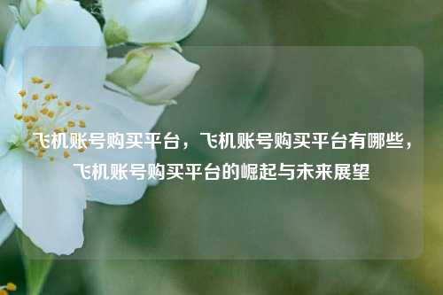 飞机账号购买平台，飞机账号购买平台有哪些，飞机账号购买平台的崛起与未来展望