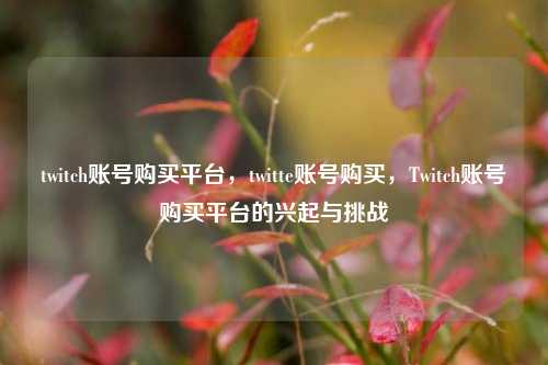twitch账号购买平台，twitte账号购买，Twitch账号购买平台的兴起与挑战
