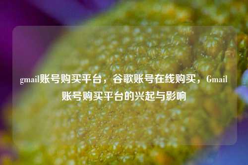 gmail账号购买平台，谷歌账号在线购买，Gmail账号购买平台的兴起与影响