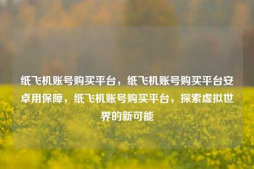 纸飞机账号购买平台，纸飞机账号购买平台安卓用保障，纸飞机账号购买平台，探索虚拟世界的新可能