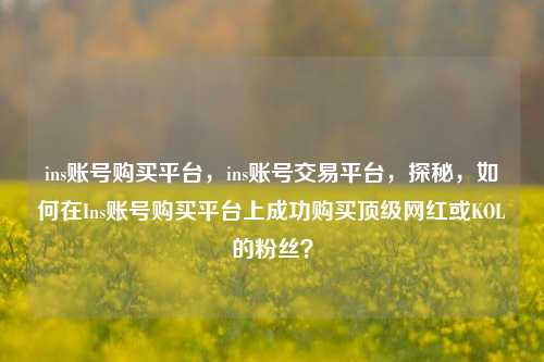 ins账号购买平台，ins账号交易平台，探秘，如何在Ins账号购买平台上成功购买顶级网红或KOL的粉丝？