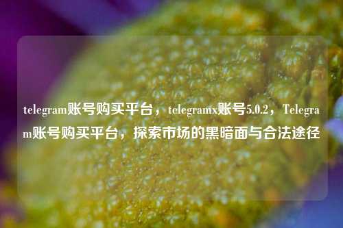telegram账号购买平台，telegramx账号5.0.2，Telegram账号购买平台，探索市场的黑暗面与合法途径