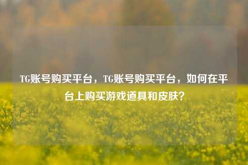 TG账号购买平台，TG账号购买平台，如何在平台上购买游戏道具和皮肤？