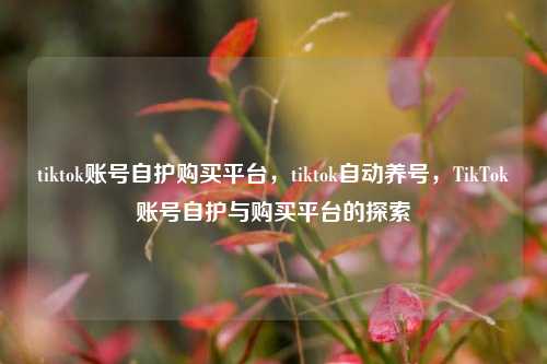 tiktok账号自护购买平台，tiktok自动养号，TikTok账号自护与购买平台的探索