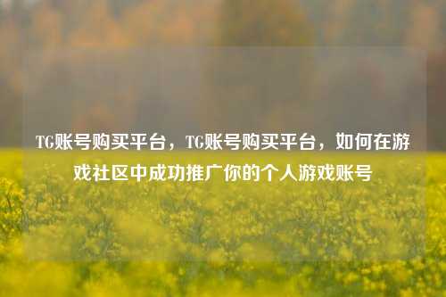 TG账号购买平台，TG账号购买平台，如何在游戏社区中成功推广你的个人游戏账号