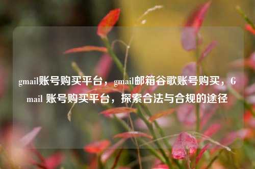 gmail账号购买平台，gmail邮箱谷歌账号购买，Gmail 账号购买平台，探索合法与合规的途径