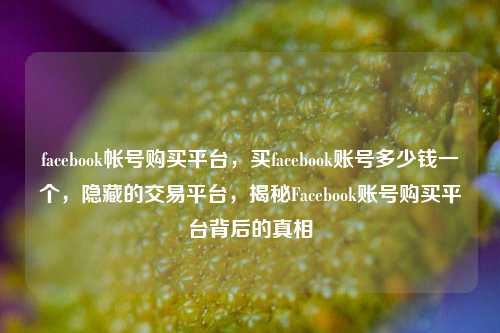 facebook帐号购买平台，买facebook账号多少钱一个，隐藏的交易平台，揭秘Facebook账号购买平台背后的真相