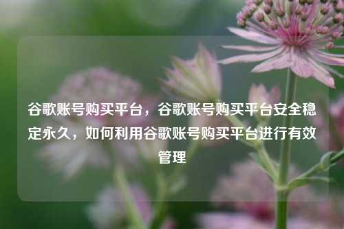 谷歌账号购买平台，谷歌账号购买平台安全稳定永久，如何利用谷歌账号购买平台进行有效管理