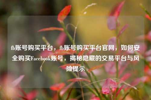 fb账号购买平台，fb账号购买平台官网，如何安全购买Facebook账号，揭秘隐藏的交易平台与风险提示
