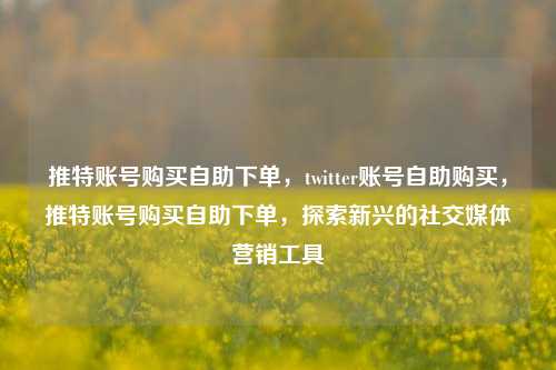 推特账号购买自助下单，twitter账号自助购买，推特账号购买自助下单，探索新兴的社交媒体营销工具