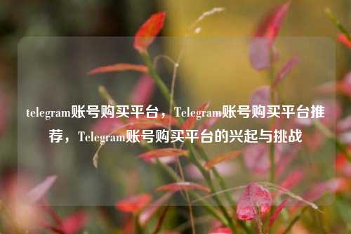 telegram账号购买平台，Telegram账号购买平台推荐	，Telegram账号购买平台的兴起与挑战  第1张