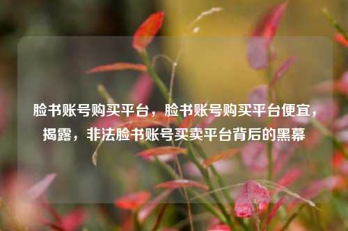 脸书账号购买平台，脸书账号购买平台便宜，揭露，非法脸书账号买卖平台背后的黑幕