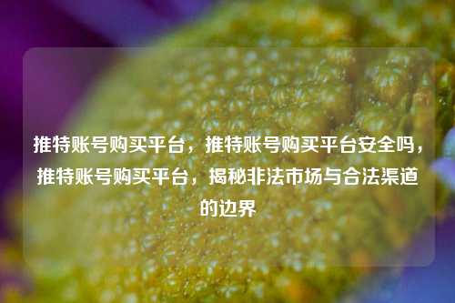 推特账号购买平台，推特账号购买平台安全吗，推特账号购买平台，揭秘非法市场与合法渠道的边界