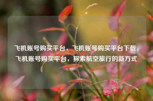 飞机账号购买平台，飞机账号购买平台下载，飞机账号购买平台，探索航空旅行的新方式