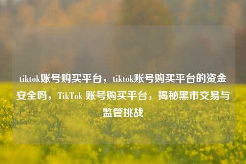 tiktok账号购买平台，tiktok账号购买平台的资金安全吗，TikTok 账号购买平台，揭秘黑市交易与监管挑战
