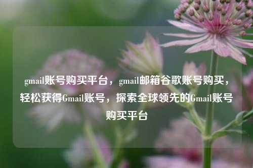 gmail账号购买平台，gmail邮箱谷歌账号购买，轻松获得Gmail账号，探索全球领先的Gmail账号购买平台