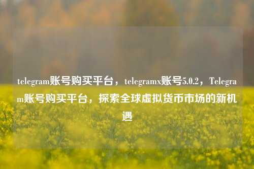 telegram账号购买平台，telegramx账号5.0.2，Telegram账号购买平台，探索全球虚拟货币市场的新机遇