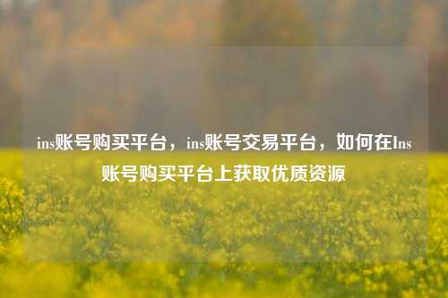 ins账号购买平台，ins账号交易平台，如何在Ins账号购买平台上获取优质资源