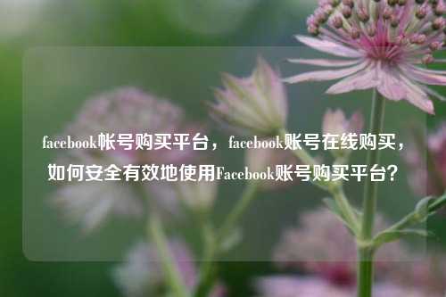 facebook帐号购买平台，facebook账号在线购买，如何安全有效地使用Facebook账号购买平台？