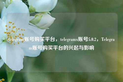 telegram账号购买平台，telegramx账号5.0.2，Telegram账号购买平台的兴起与影响