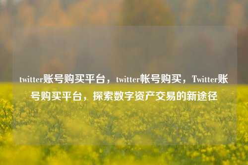 twitter账号购买平台，twitter帐号购买，Twitter账号购买平台，探索数字资产交易的新途径