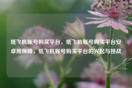 纸飞机账号购买平台，纸飞机账号购买平台安卓用保障，纸飞机账号购买平台的兴起与挑战
