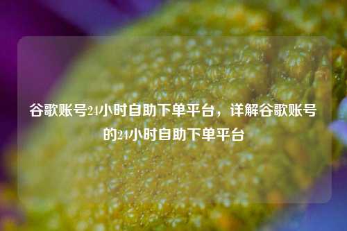 谷歌账号24小时自助下单平台，详解谷歌账号的24小时自助下单平台