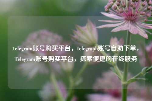 telegram账号购买平台，telegraph账号自助下单，Telegram账号购买平台，探索便捷的在线服务