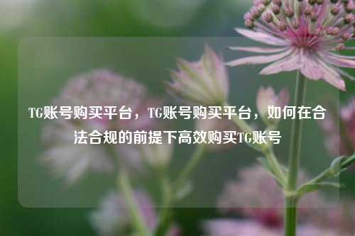 TG账号购买平台，TG账号购买平台，如何在合法合规的前提下高效购买TG账号