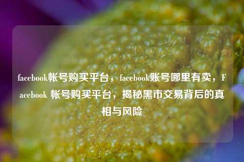 facebook帐号购买平台，facebook账号哪里有卖，Facebook 帐号购买平台，揭秘黑市交易背后的真相与风险