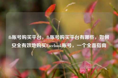 fb账号购买平台，fb账号购买平台有哪些，如何安全有效地购买Facebook账号，一个全面指南