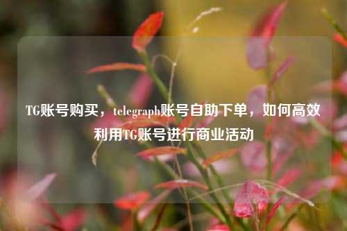 TG账号购买，telegraph账号自助下单，如何高效利用TG账号进行商业活动