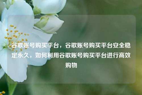 谷歌账号购买平台，谷歌账号购买平台安全稳定永久，如何利用谷歌账号购买平台进行高效购物  第1张