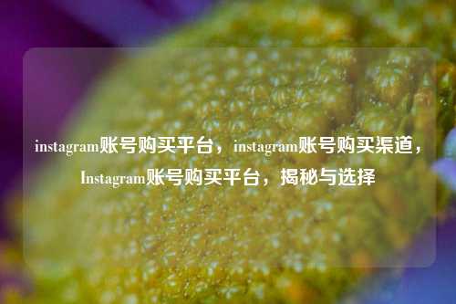 instagram账号购买平台，instagram账号购买渠道，Instagram账号购买平台，揭秘与选择