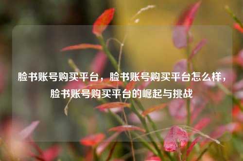 脸书账号购买平台，脸书账号购买平台怎么样，脸书账号购买平台的崛起与挑战