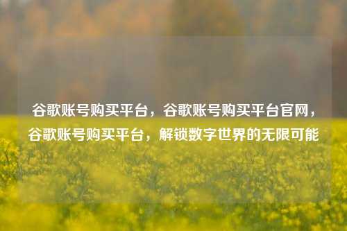 谷歌账号购买平台，谷歌账号购买平台官网，谷歌账号购买平台，解锁数字世界的无限可能