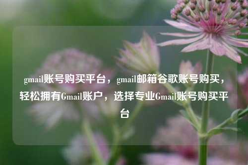 gmail账号购买平台，gmail邮箱谷歌账号购买，轻松拥有Gmail账户，选择专业Gmail账号购买平台