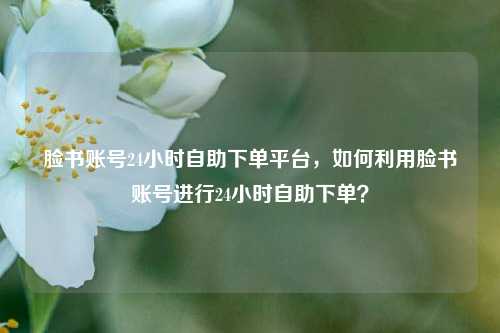 脸书账号24小时自助下单平台，如何利用脸书账号进行24小时自助下单？