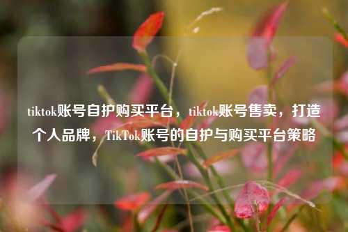 tiktok账号自护购买平台，tiktok账号售卖，打造个人品牌，TikTok账号的自护与购买平台策略