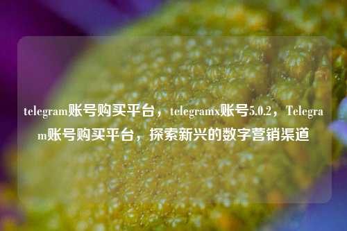 telegram账号购买平台，telegramx账号5.0.2，Telegram账号购买平台，探索新兴的数字营销渠道