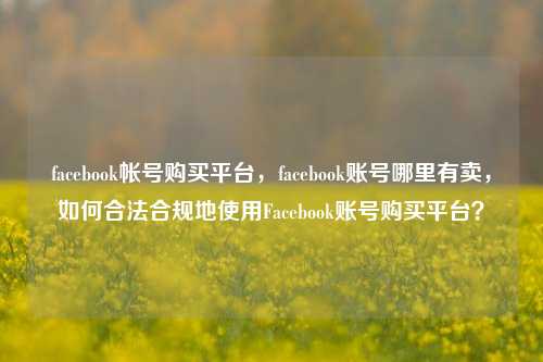 facebook帐号购买平台，facebook账号哪里有卖，如何合法合规地使用Facebook账号购买平台？