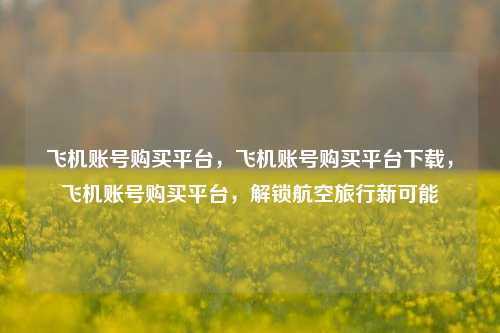 飞机账号购买平台	，飞机账号购买平台下载，飞机账号购买平台，解锁航空旅行新可能  第1张