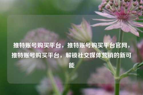推特账号购买平台，推特账号购买平台官网，推特账号购买平台，解锁社交媒体营销的新可能
