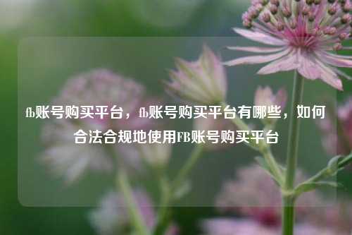fb账号购买平台，fb账号购买平台有哪些，如何合法合规地使用FB账号购买平台