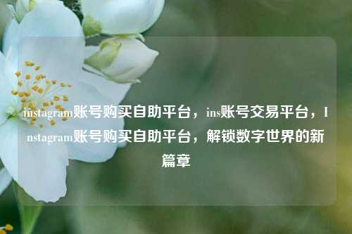 instagram账号购买自助平台，ins账号交易平台，Instagram账号购买自助平台，解锁数字世界的新篇章