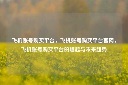 飞机账号购买平台，飞机账号购买平台官网，飞机账号购买平台的崛起与未来趋势