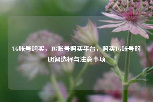 TG账号购买，TG账号购买平台，购买TG账号的明智选择与注意事项