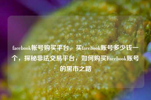 facebook帐号购买平台，买facebook账号多少钱一个，探秘非法交易平台，如何购买Facebook账号的黑市之路