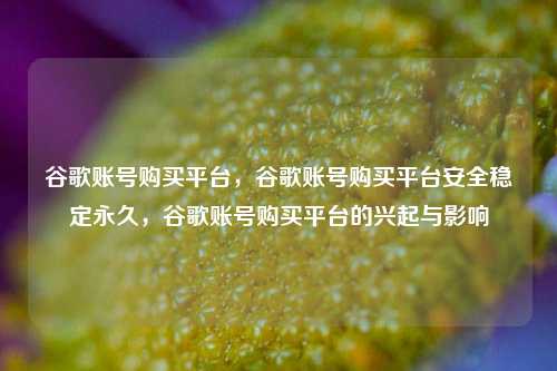 谷歌账号购买平台，谷歌账号购买平台安全稳定永久，谷歌账号购买平台的兴起与影响